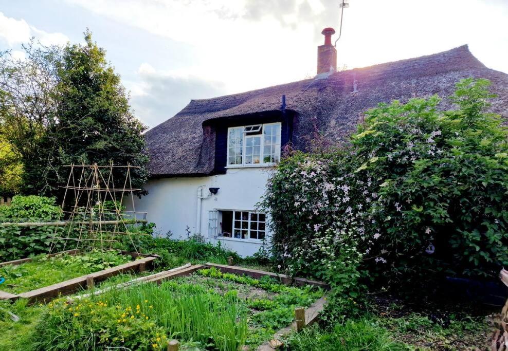 Piddle Puddle Cabin Dorchester Luaran gambar