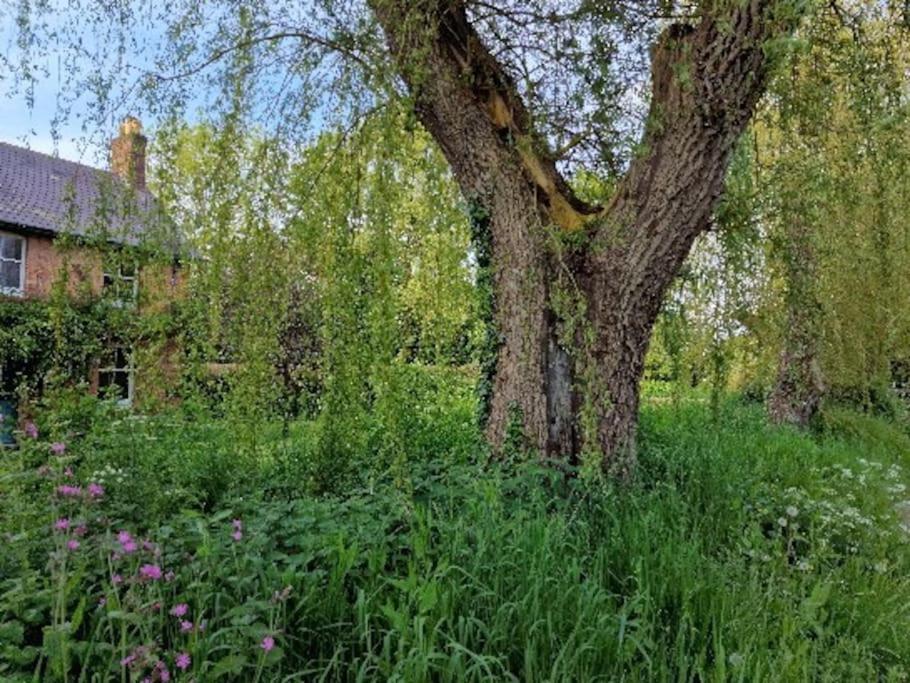 Piddle Puddle Cabin Dorchester Luaran gambar